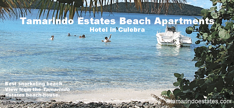 Best snorkeling
                beach. View from the beach-house