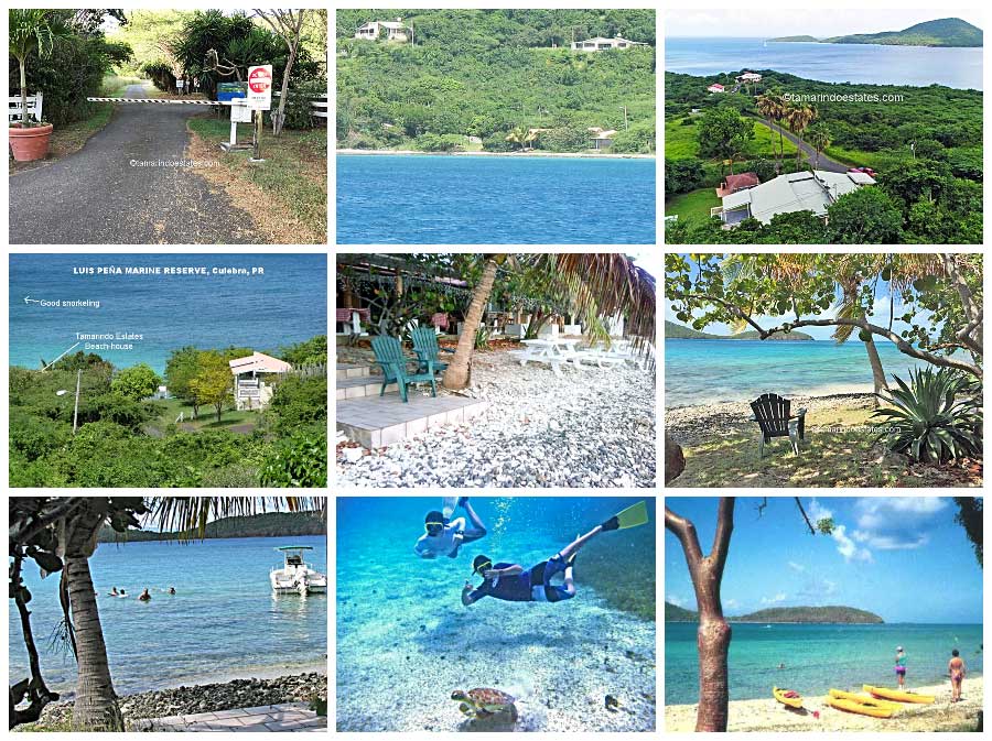 Aerial, ocean
                          and beach areas of Tamarindo Estates.