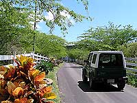 Driving into the Estates