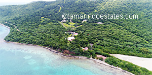 Aerial beach and
                  Tamarindo Estates