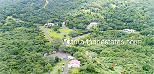 Aerial view
                  Tamarindo Estates