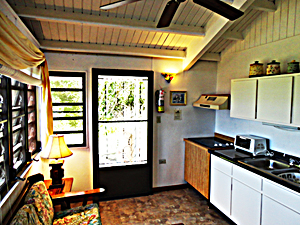 living-kitchen area
                      of apt.