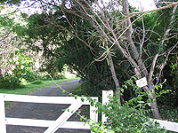 Trail to beach area