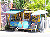 Island woman Cart