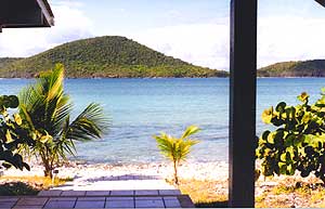 View from the beach house