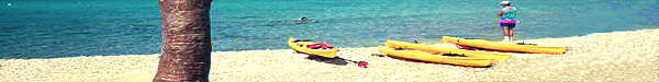 kayaks