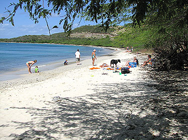 Tamarindo
                beach