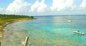Tamarindo Estates reef