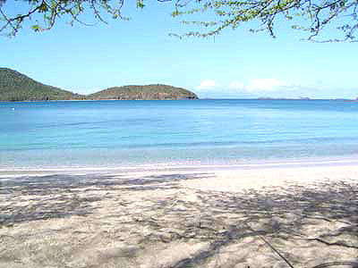 Playa
                        Tamarindo