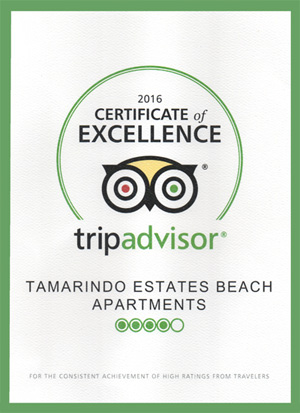 Trip Advisor Certificate