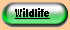wildlife